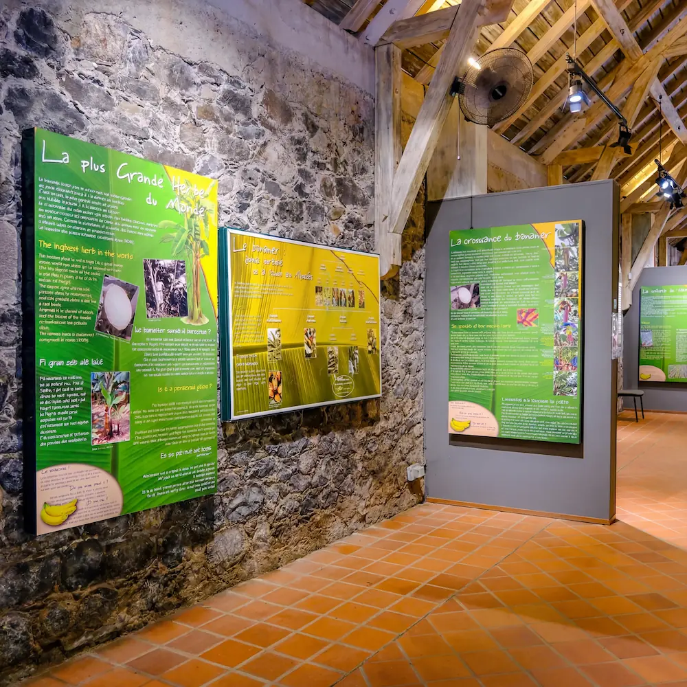 Salle d'exposition du musée de la banane
