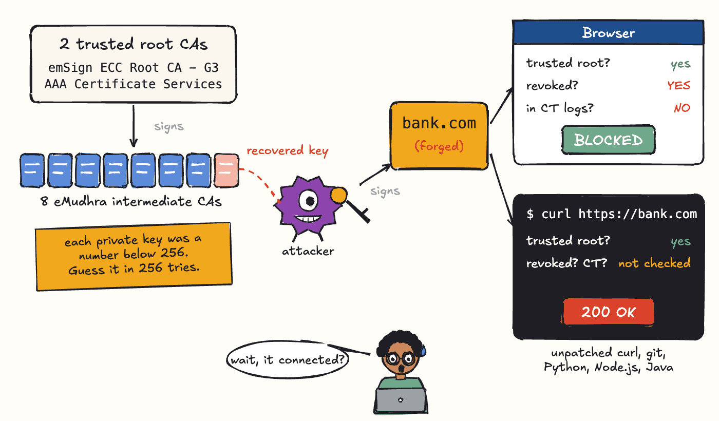 Diagram: two trusted roots sign eight eMudhra intermediate CAs; one intermediate's private key is a number below 256, so an attacker recovers it and signs a forged bank.com certificate; the browser checks revocation and CT logs and blocks it, while curl, git, Python, Node.js, Go and Java only check that the chain ends at a trusted root and connect with 200 OK