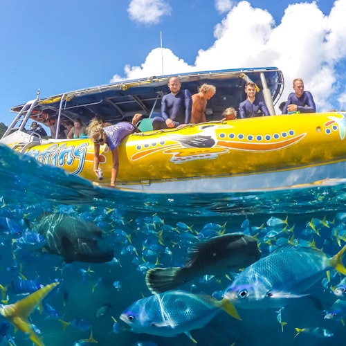 Whitsundays Ocean Rafting: Snorkel, Walk & Whitehaven Beach tickets in Airlie Beach