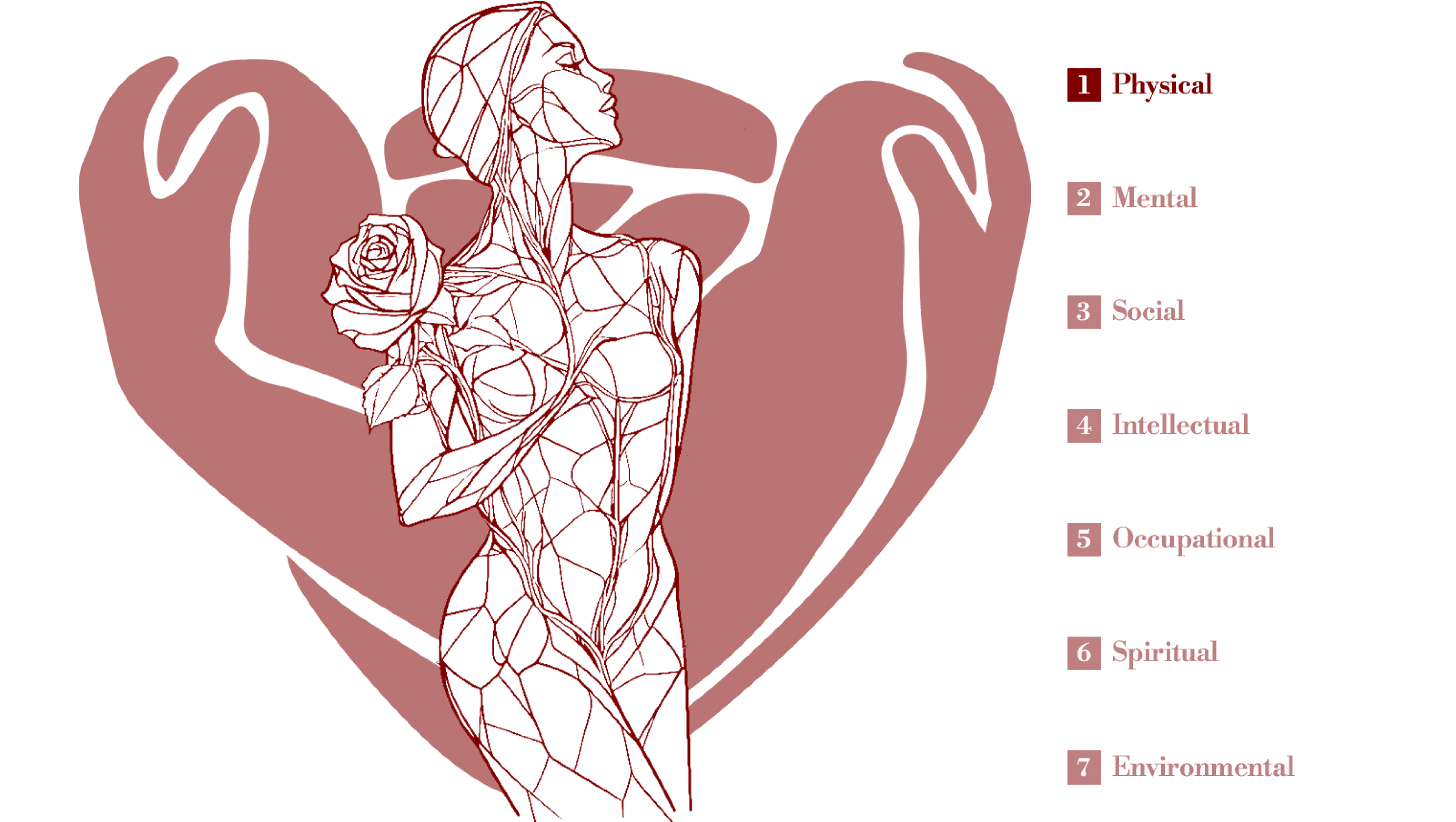 7 Pillars of Health Graphic