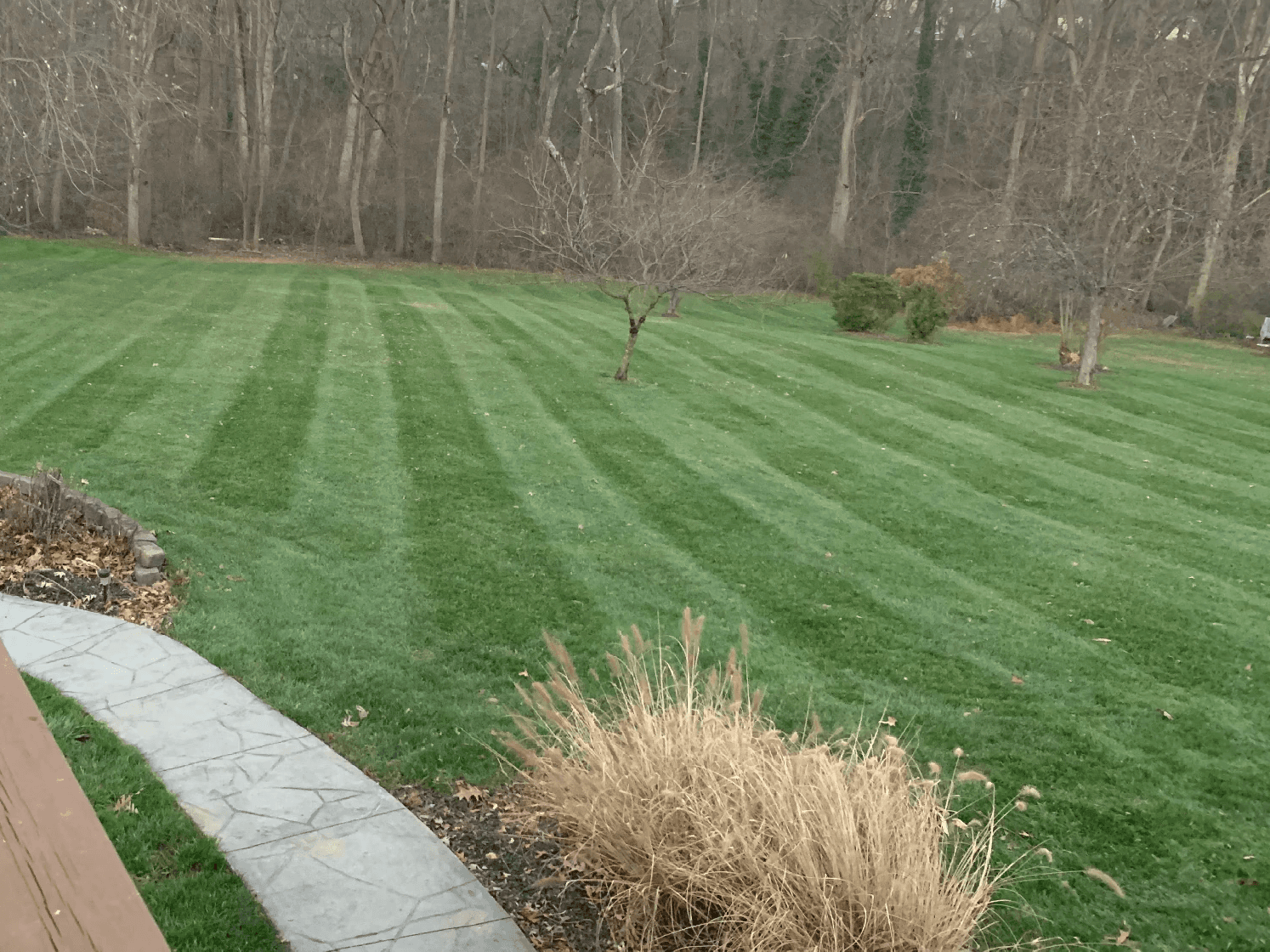 Striped lawn in Taneytown, MD