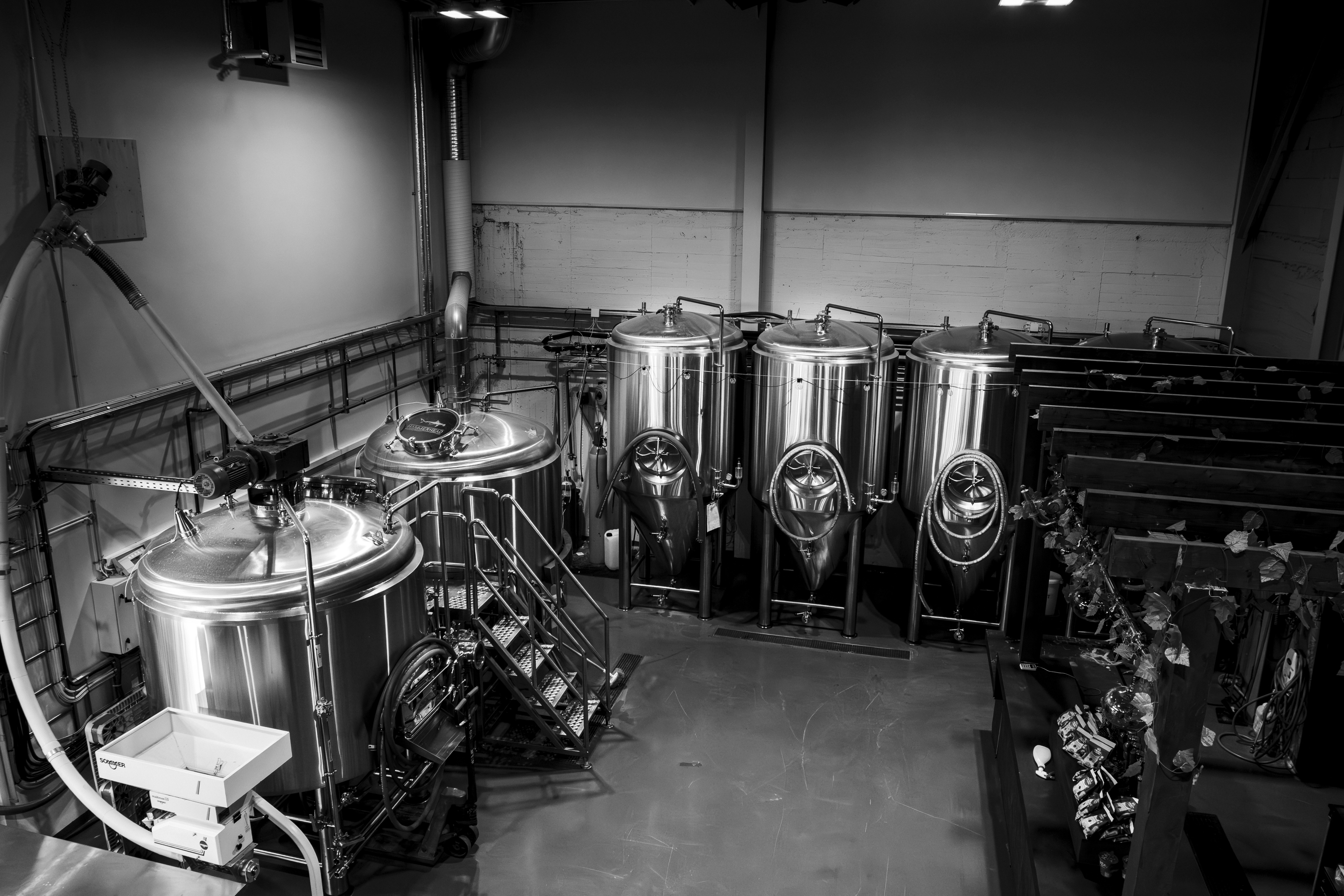 Barista pouring milk into striped ceramic mug