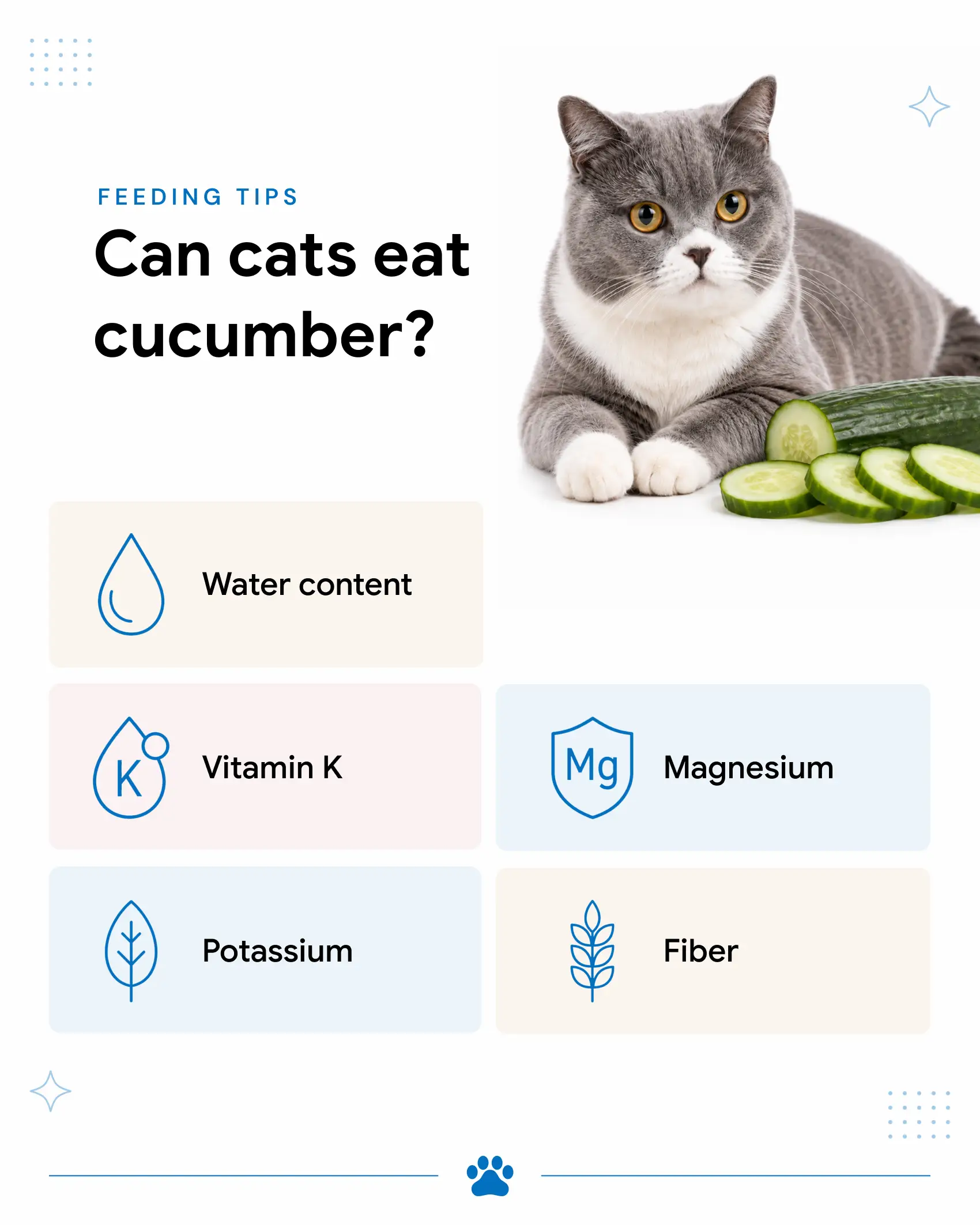 An infographic showing the benefits of cucumbers for cats. 