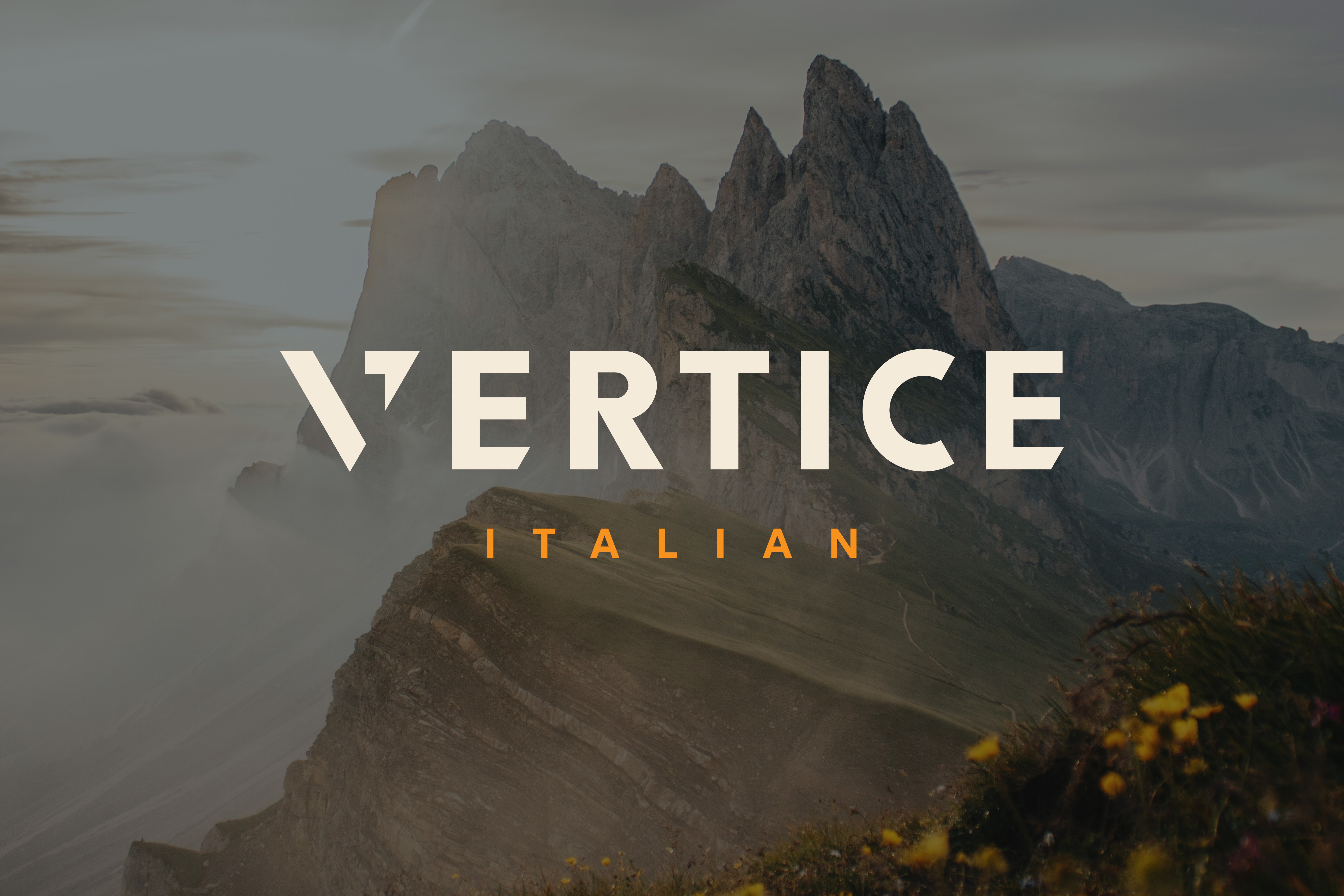 Large Project Gallery Image #1