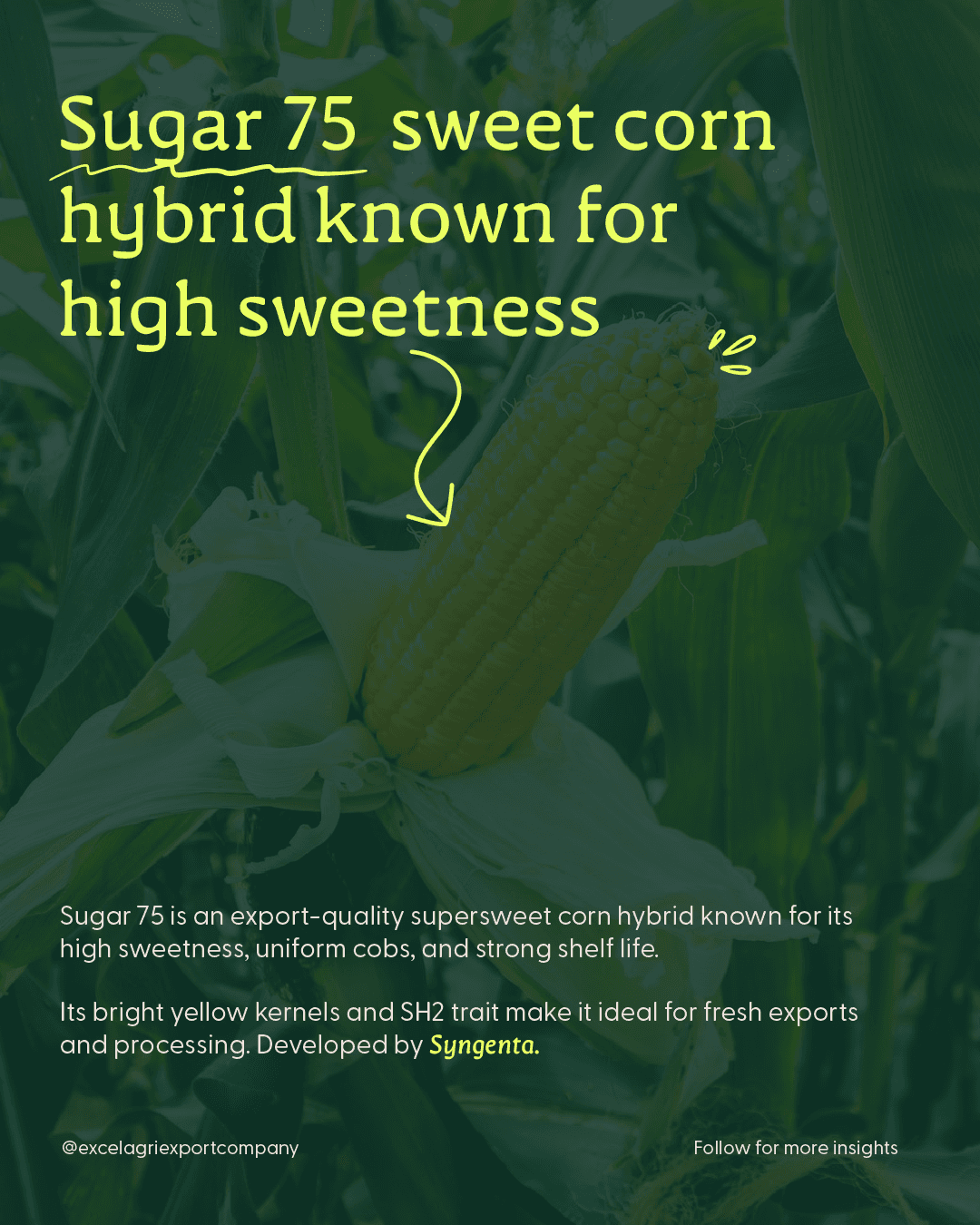 Shot of modern buildings