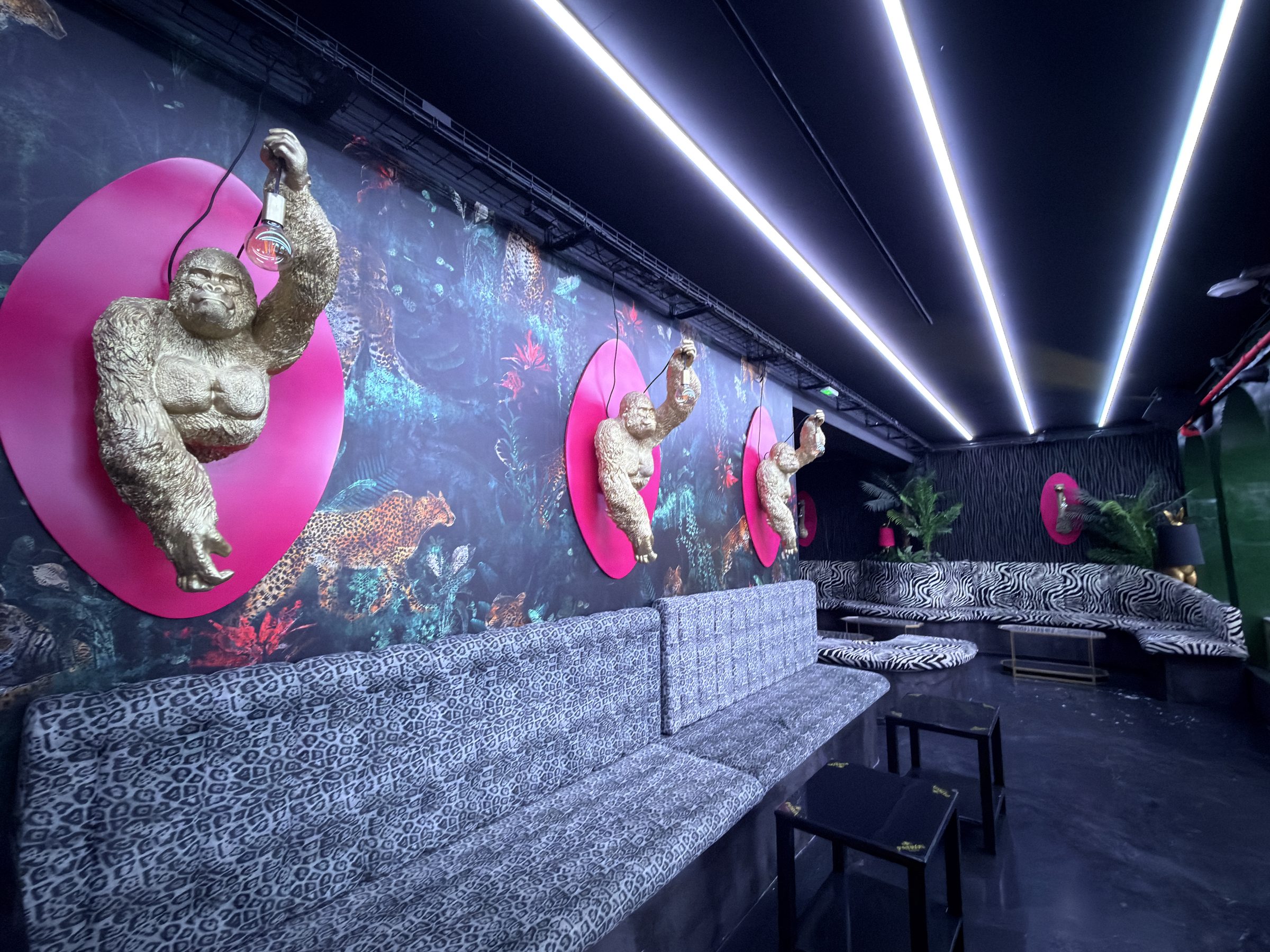 Baloo Ibiza, Playa d'en Bossa · iluminación píxel LED y RGB · Ledilux