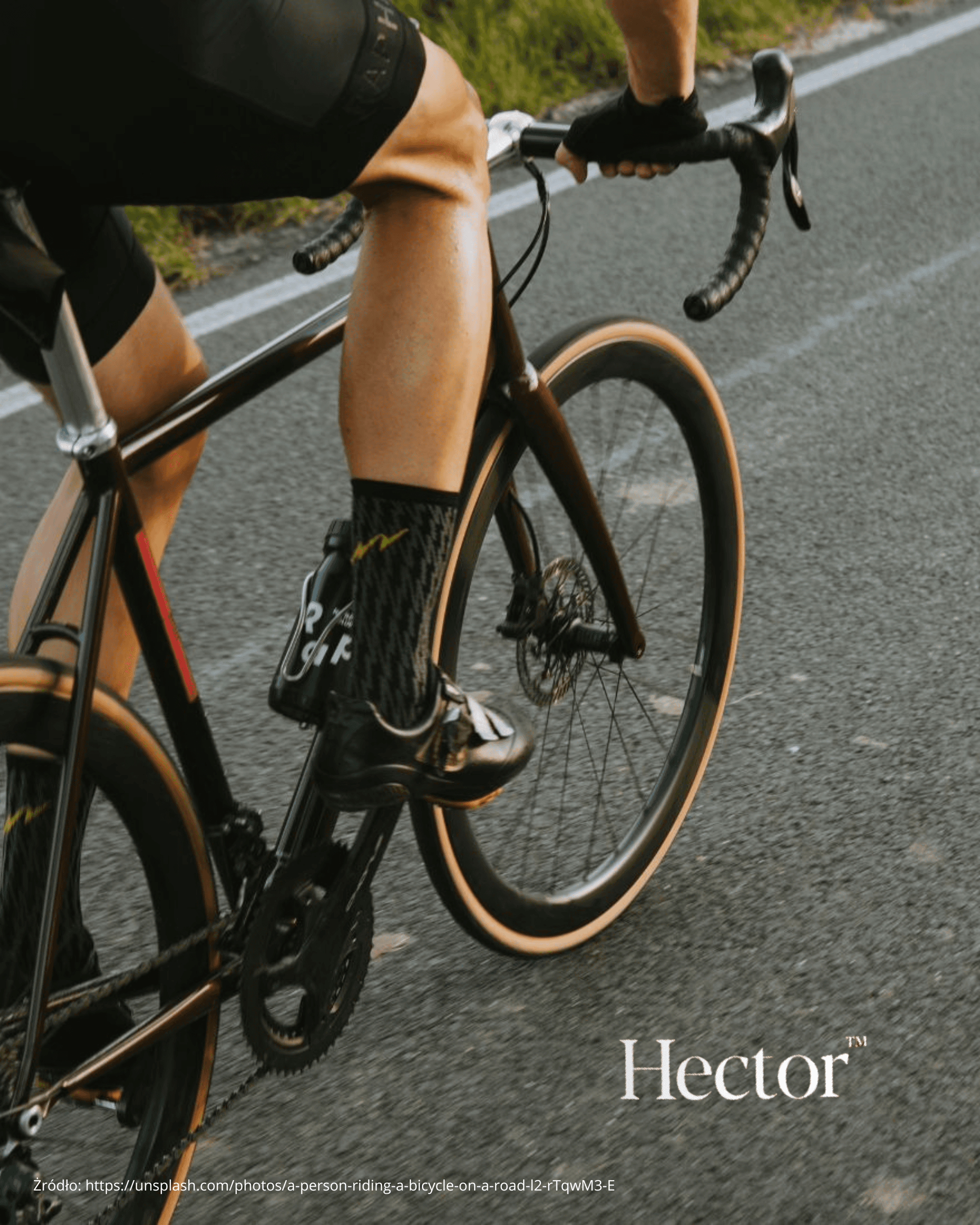 Hector