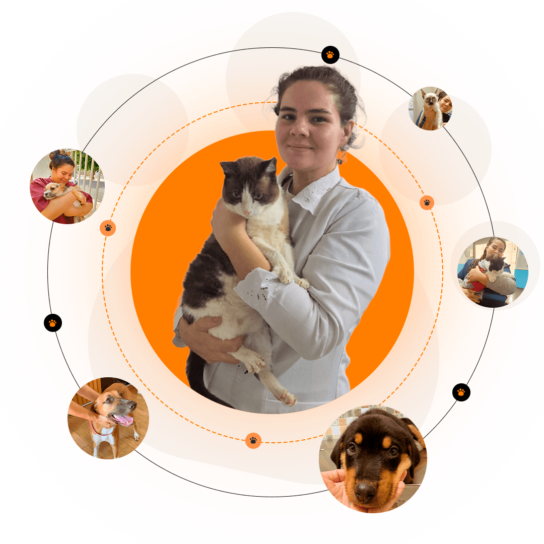 Veterinária profissional em cambará