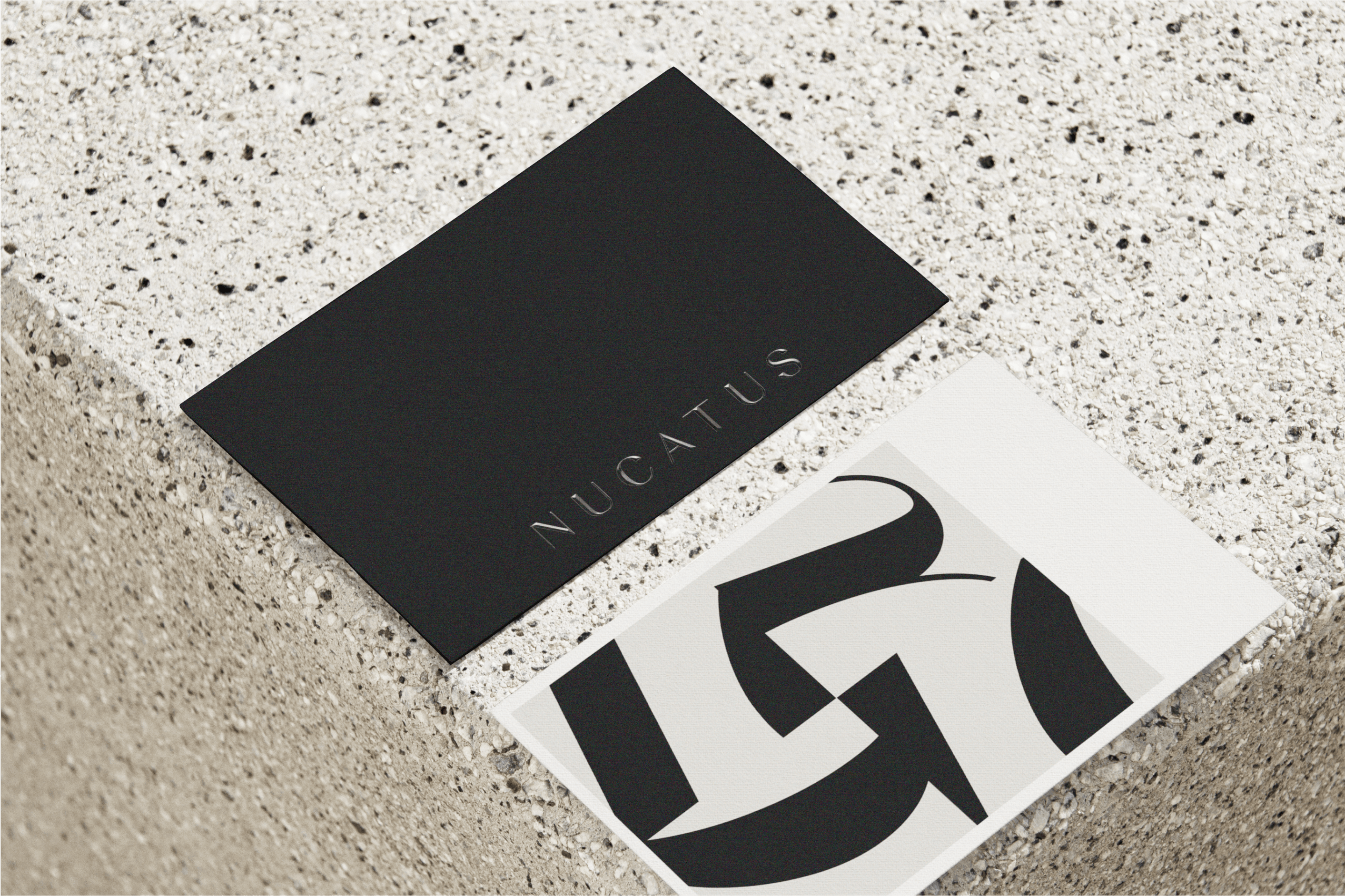 business cards nactus mockup by analogue agancy
