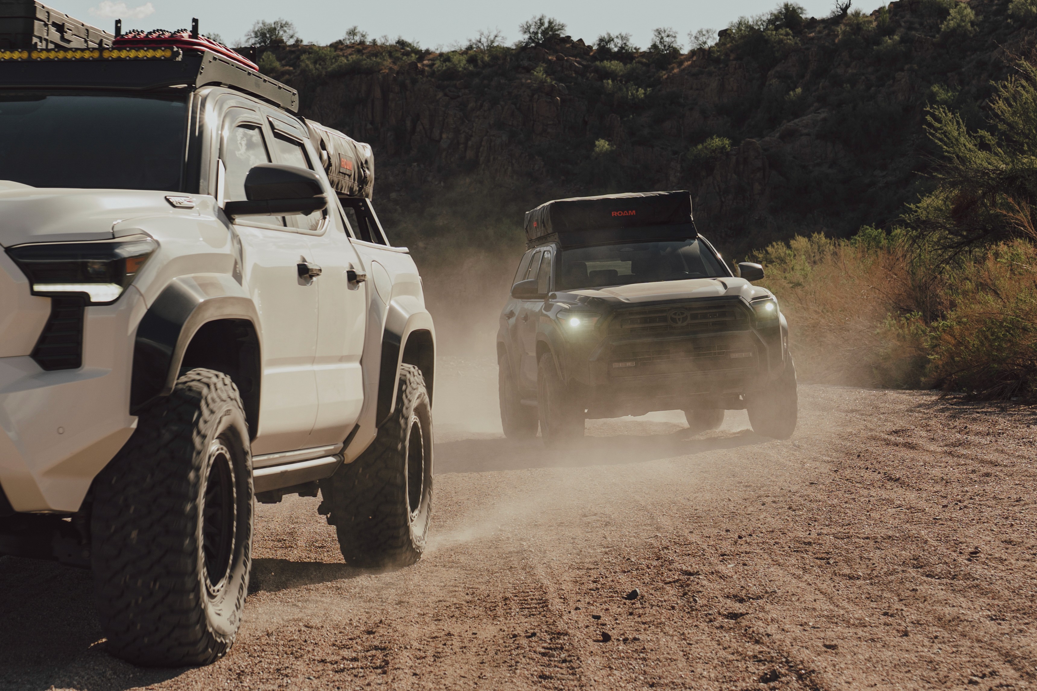 Black women’s shoes against a maroon carpet background.