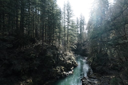 oregon