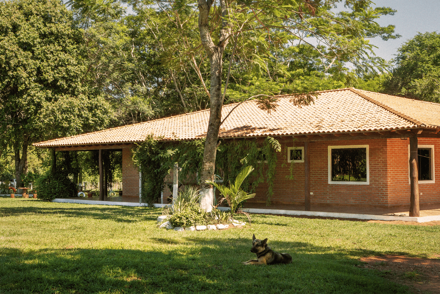 sansanito home