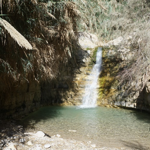 A small waterfall cascades into a clear pool surrounded by rocky cliffs and dense, dry vegetation.