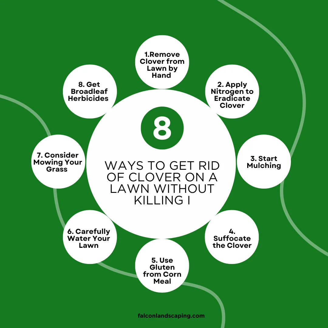 A circular diagram explaining how to get rid of clover on a lawn