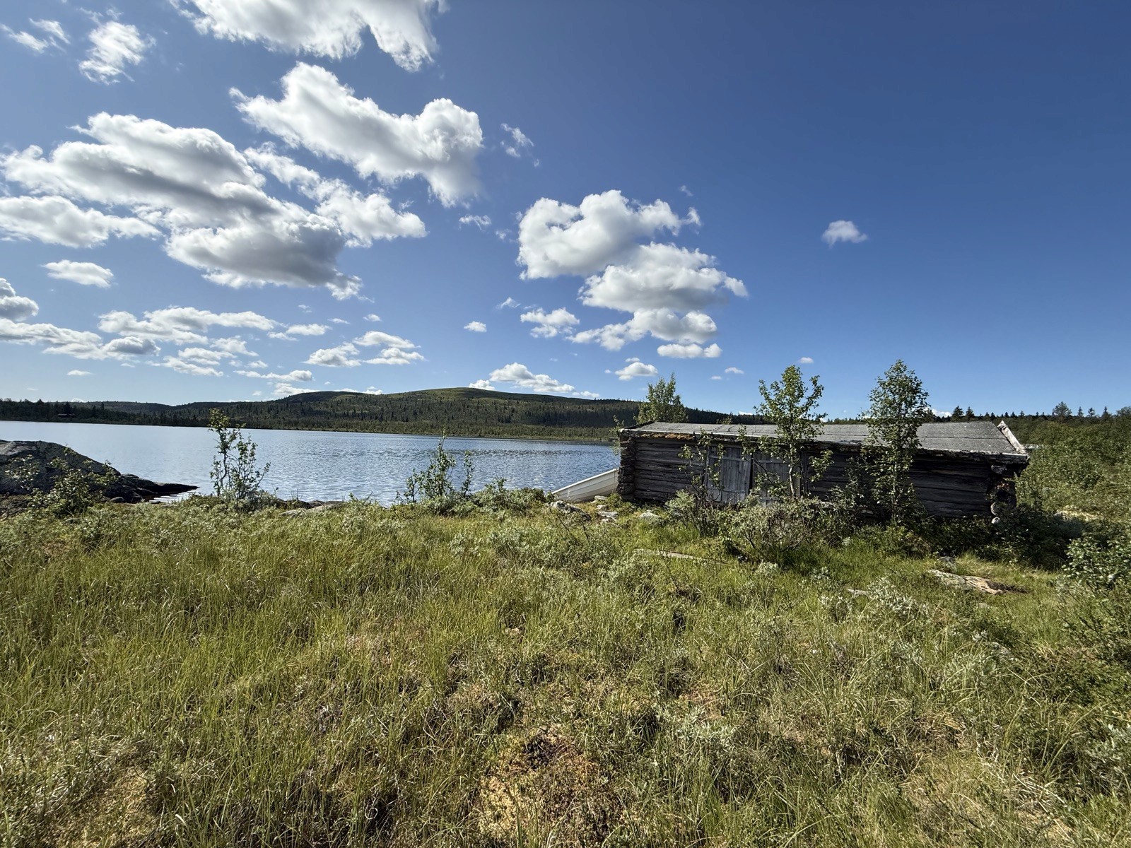 An old hand-built log boathouse surrounded by heather and cloudberries, on the shore of Fullsenn in Valdres.