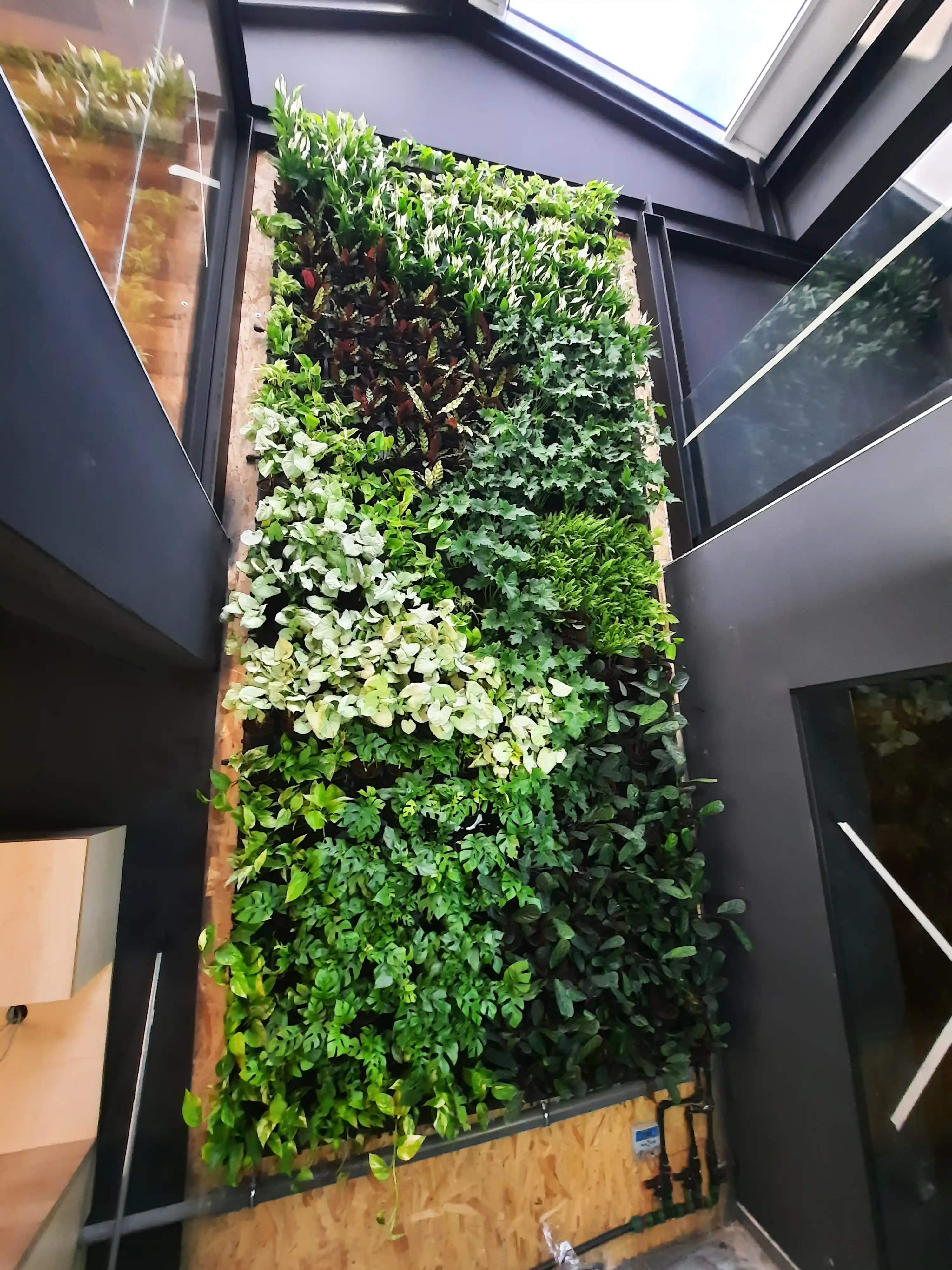 Függőleges növényfal kereskedelmi létesítményben