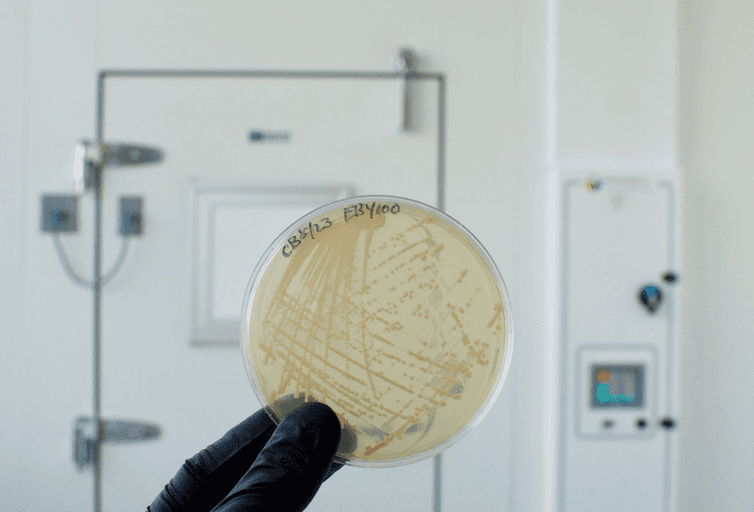  /></a><figcaption><span class=