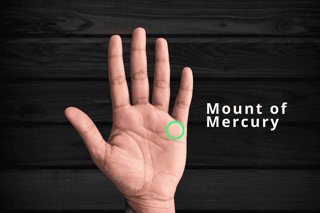Mount of Mercury in Palm Reading - Palmyst