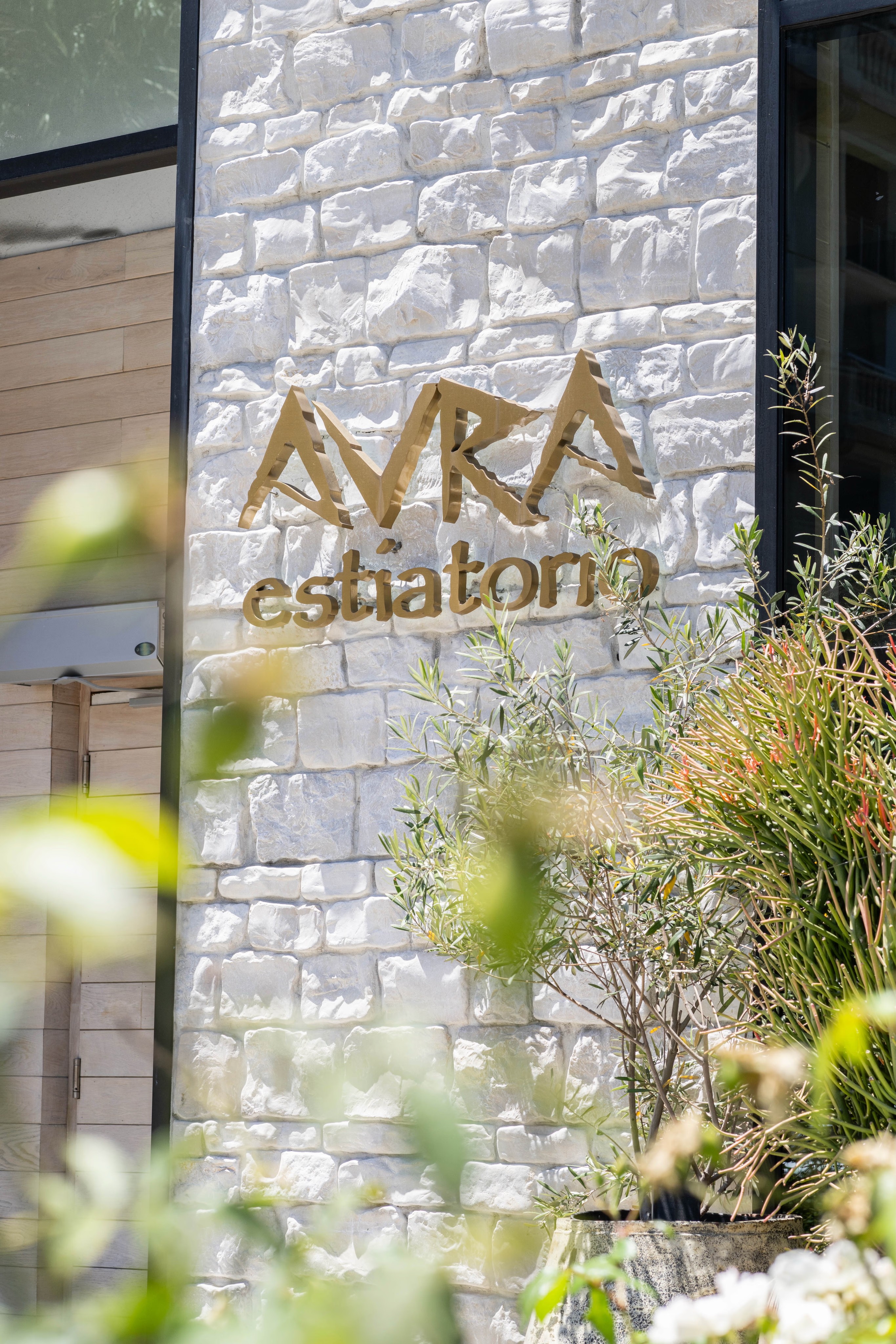 A close-up of a stone wall with the words "Ayla Gallery" elegantly displayed in gold lettering. Greenery in the foreground.