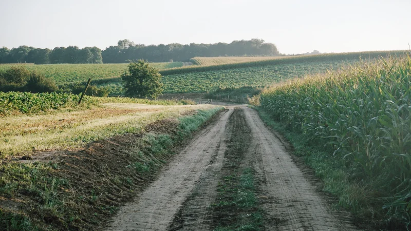 Gravel road through Limburg