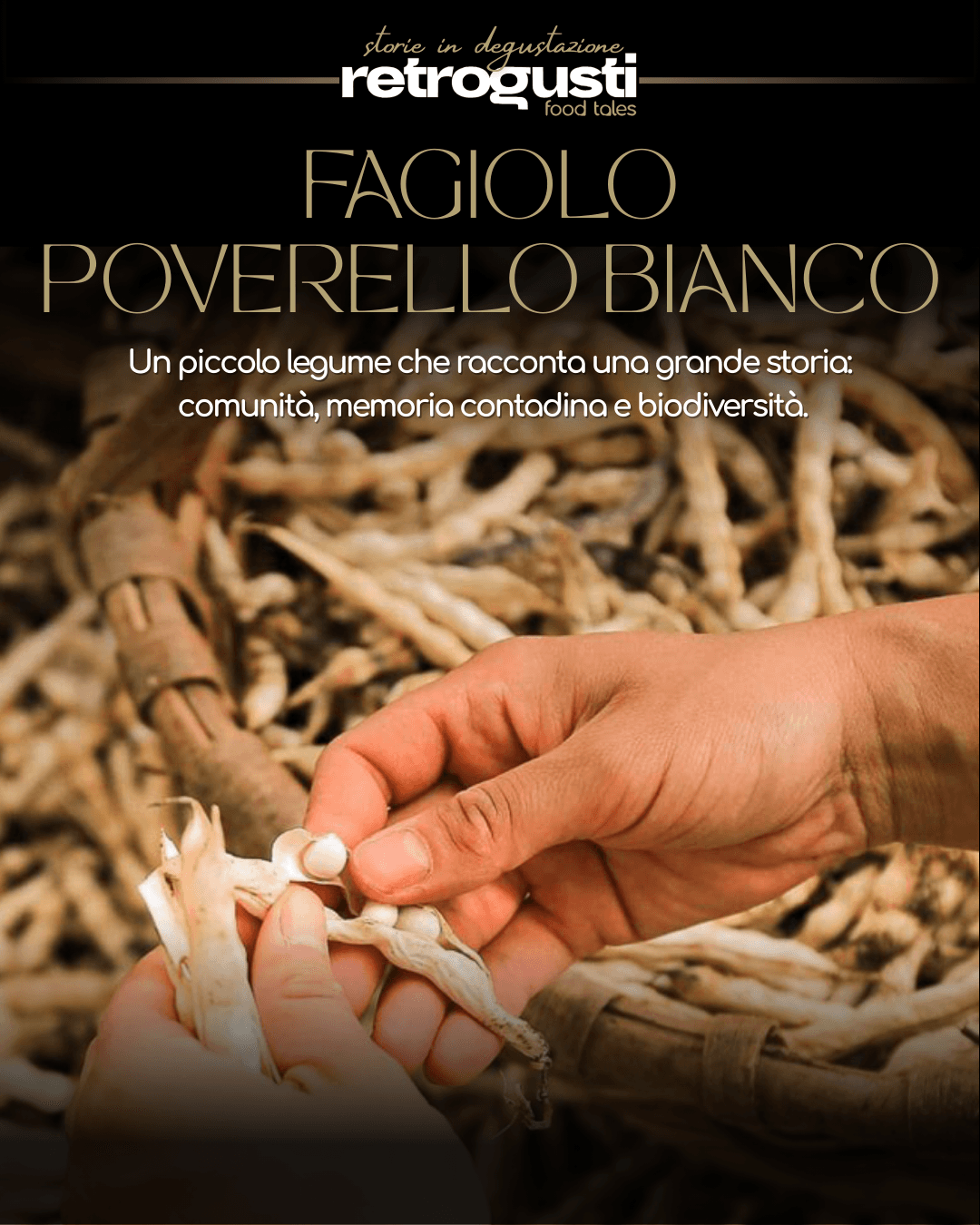 evento moscato di saracena