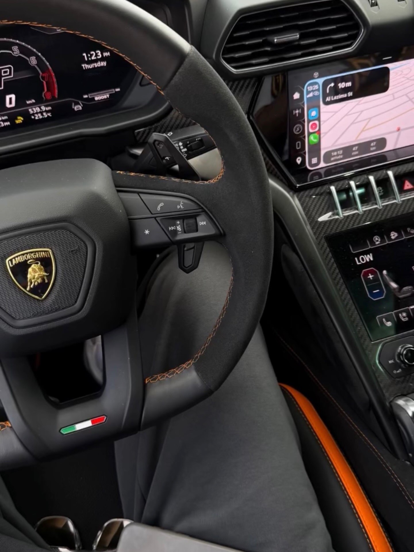 Close-up of a dark green leaf showing its textured surface and central vein against a muted background.
