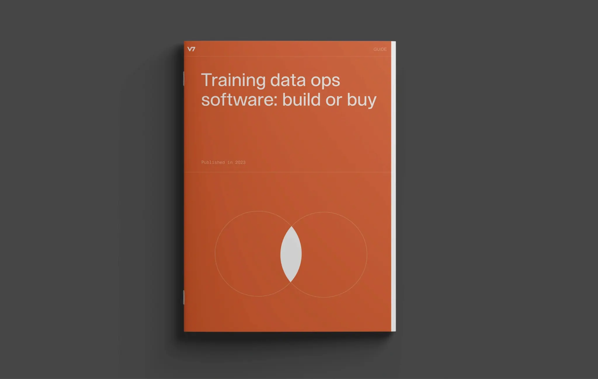 Training data ops software: build or buy