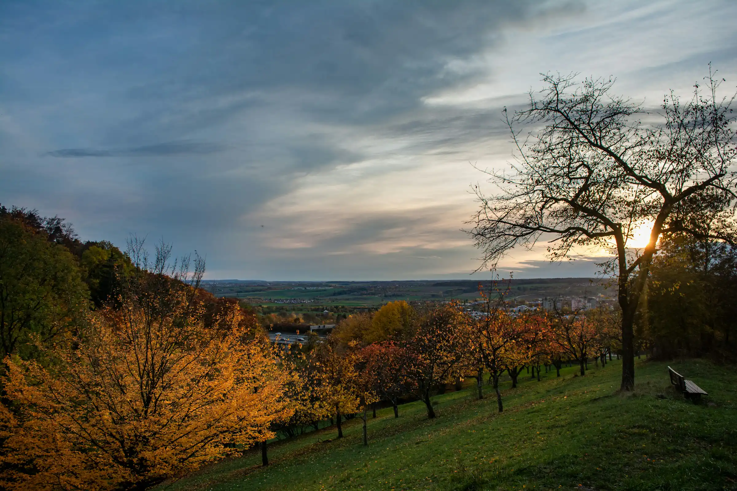 Herrenberg, Streuobstwiese mit Herbstlaub im Abendlicht, Blick ins Gäu
