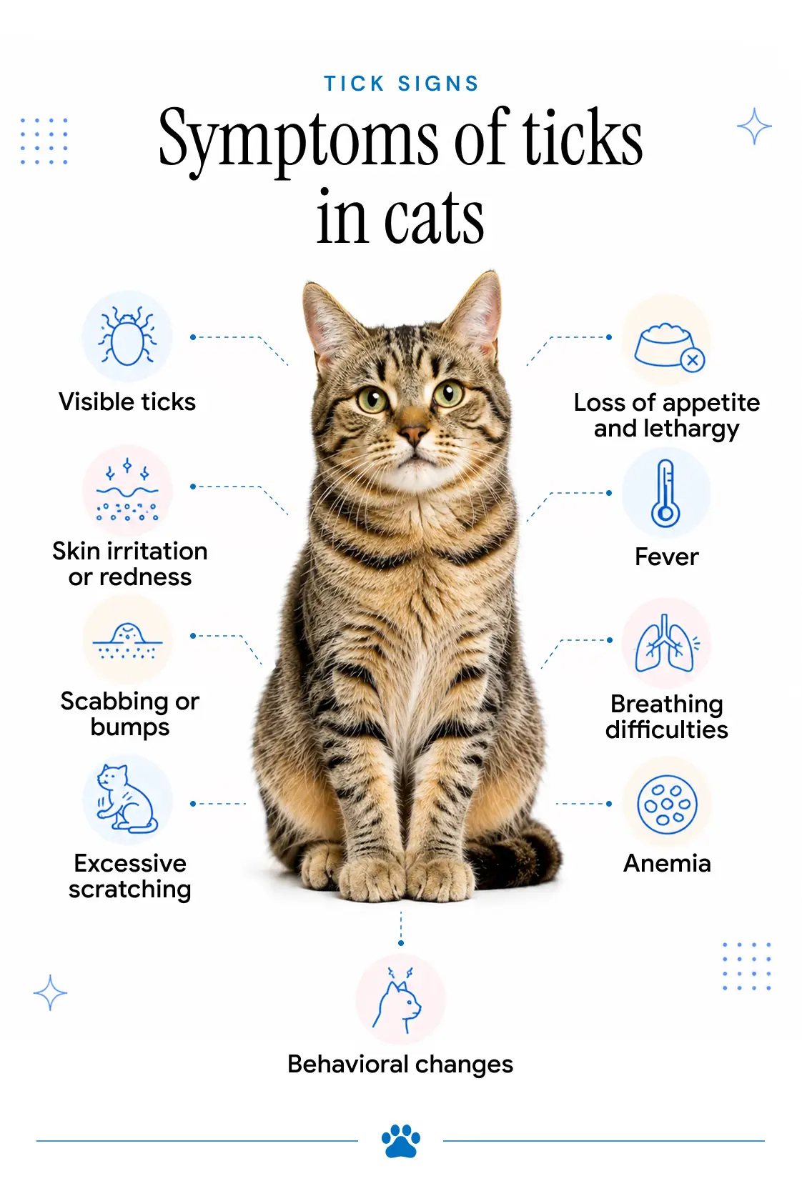 An infographic showing the signs of ticks in cats.