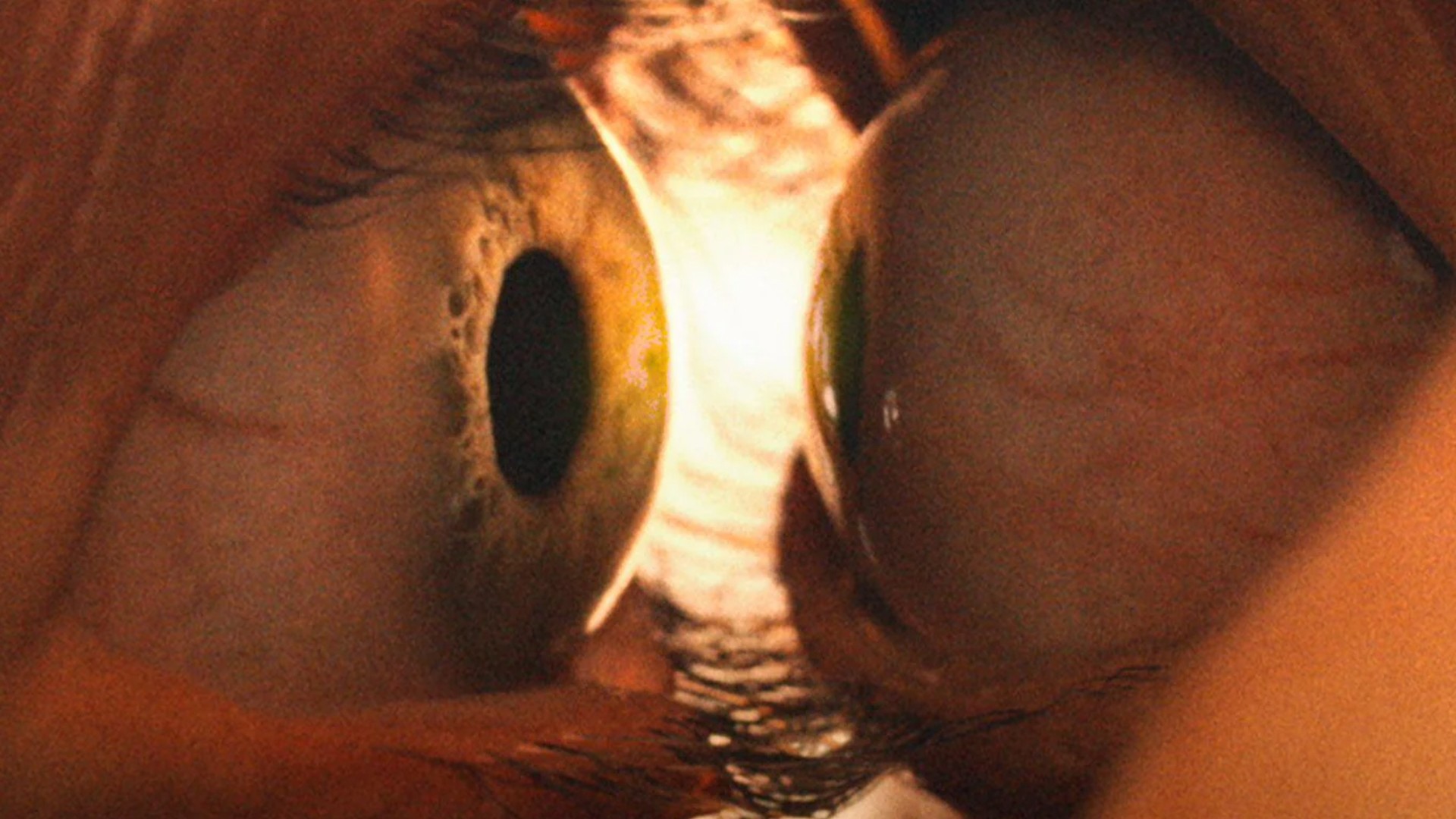 july 30th horror movies