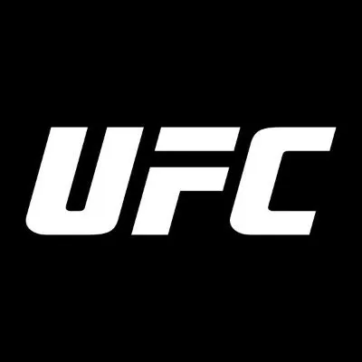 UFC icon