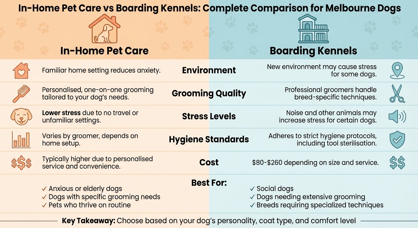 In-Home Pet Care vs Boarding Kennels: Complete Comparison for Melbourne Dogs