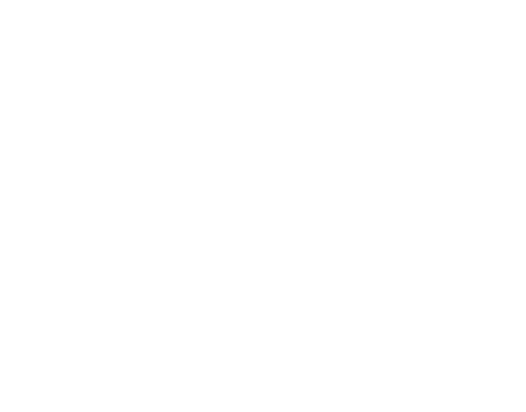 acionista
