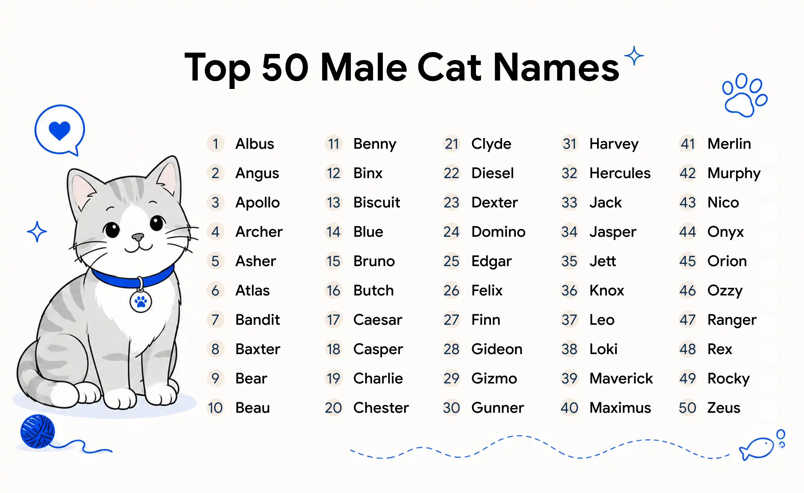 A list of 50 male cat names you can choose for your pet.