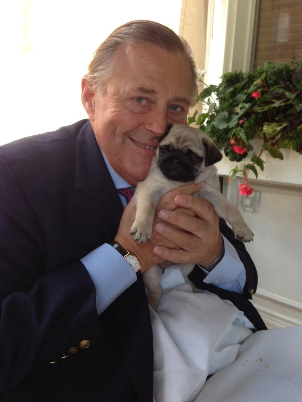 Rescued mare with foal 