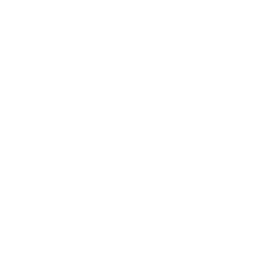 Health summary