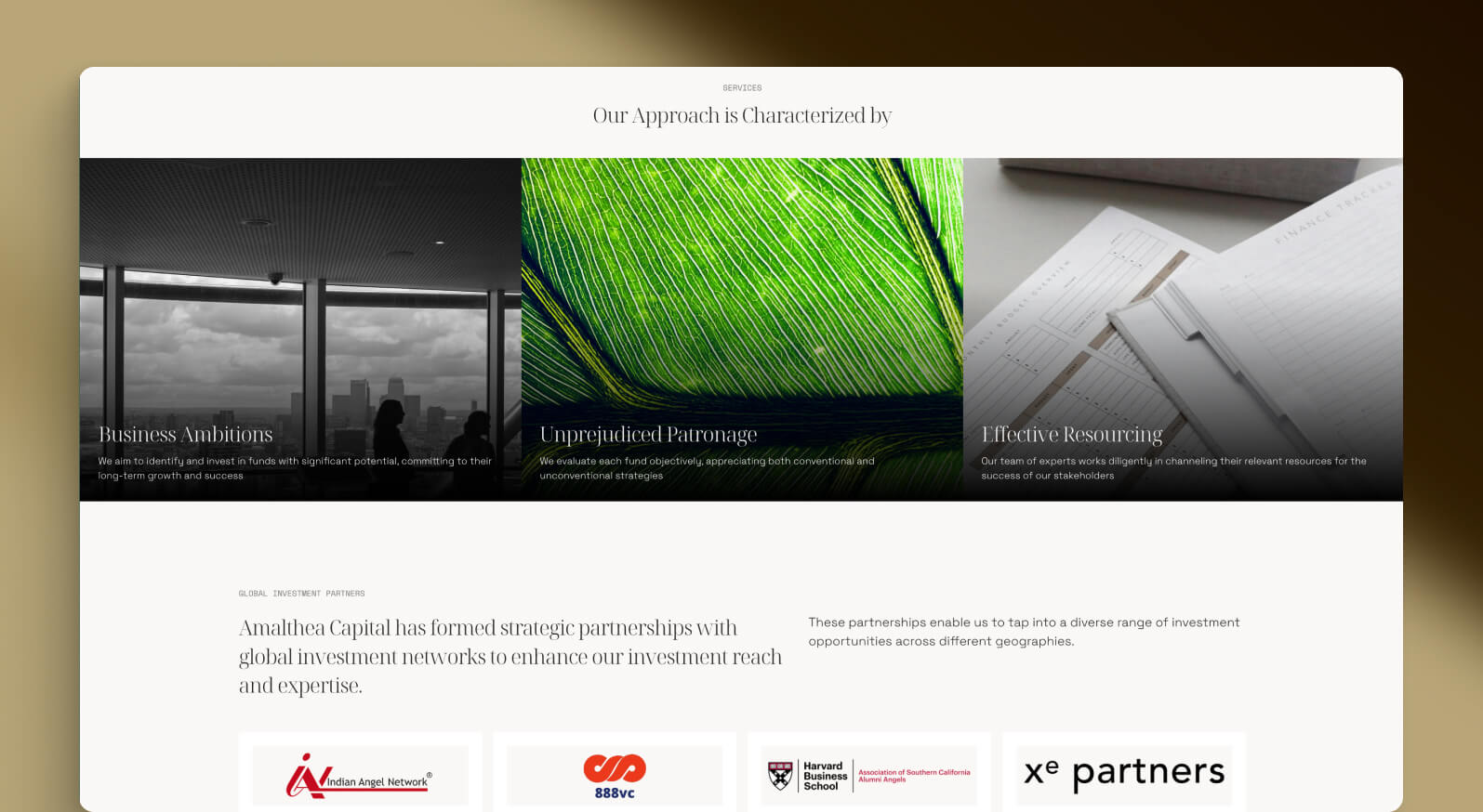 Corporate Website - Blue Cap Pro