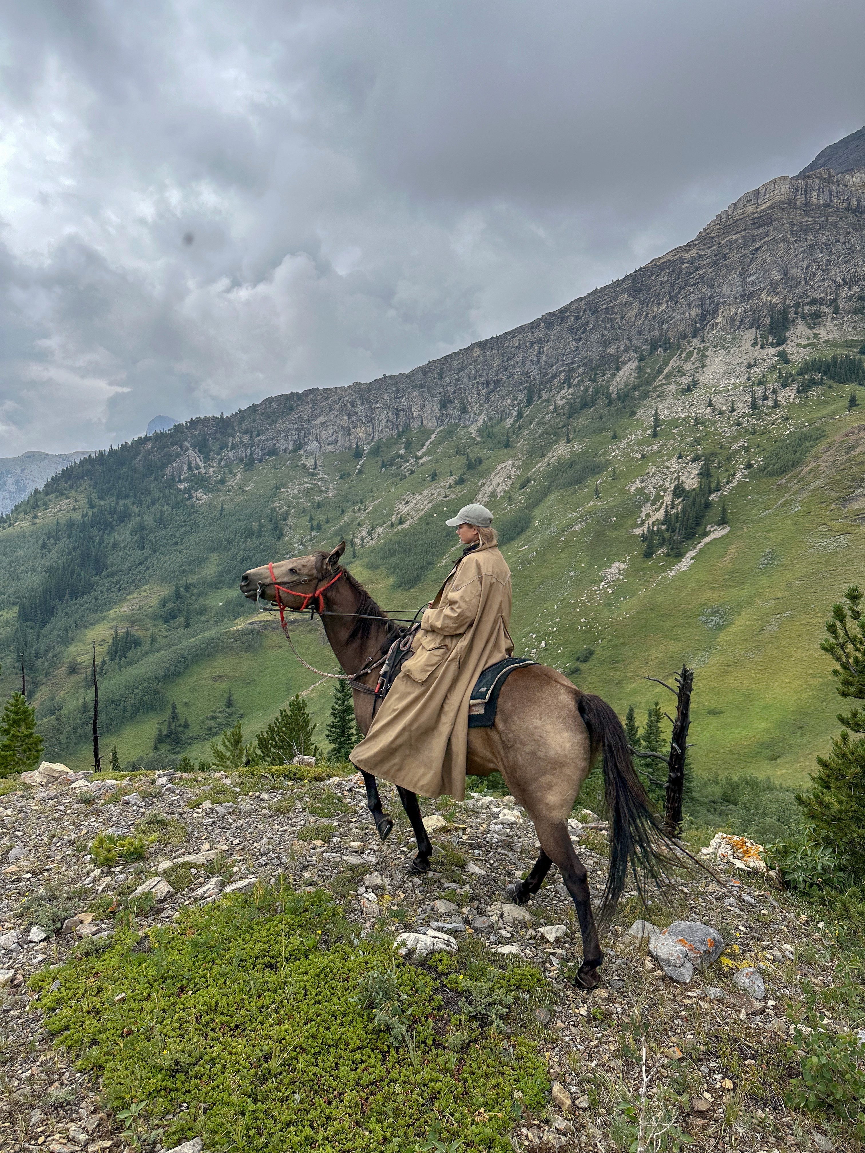 Horse trekking