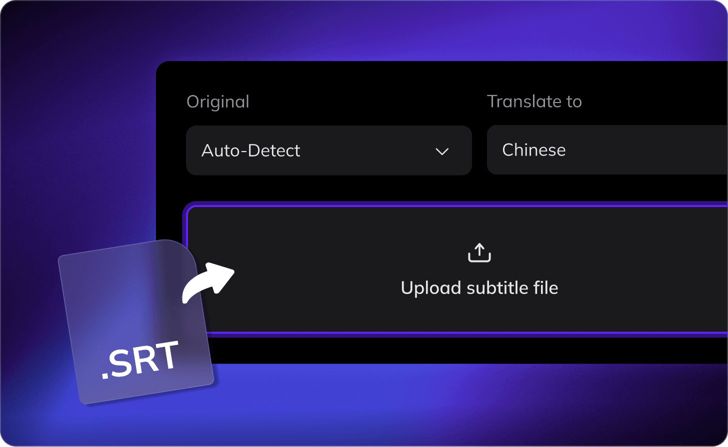 SRT Upload & OCR Recognition