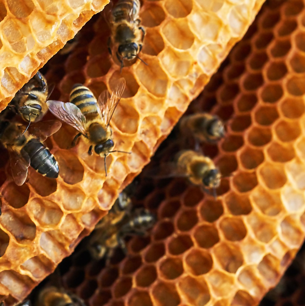 selective-focus photography of green marble