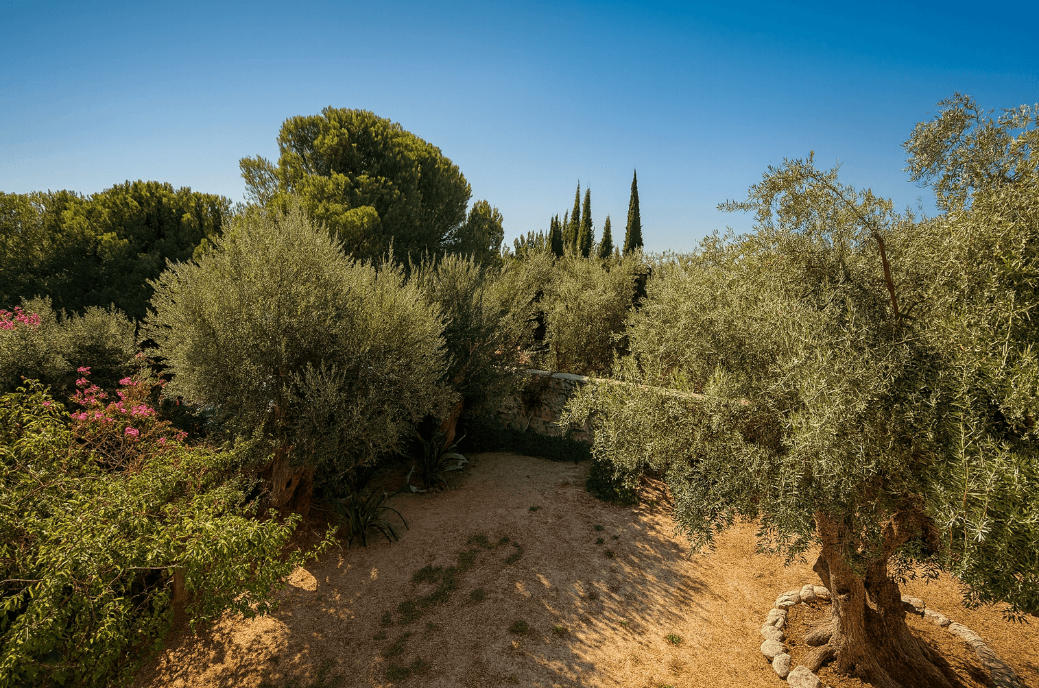 Balkondan Doğa Mnazarası