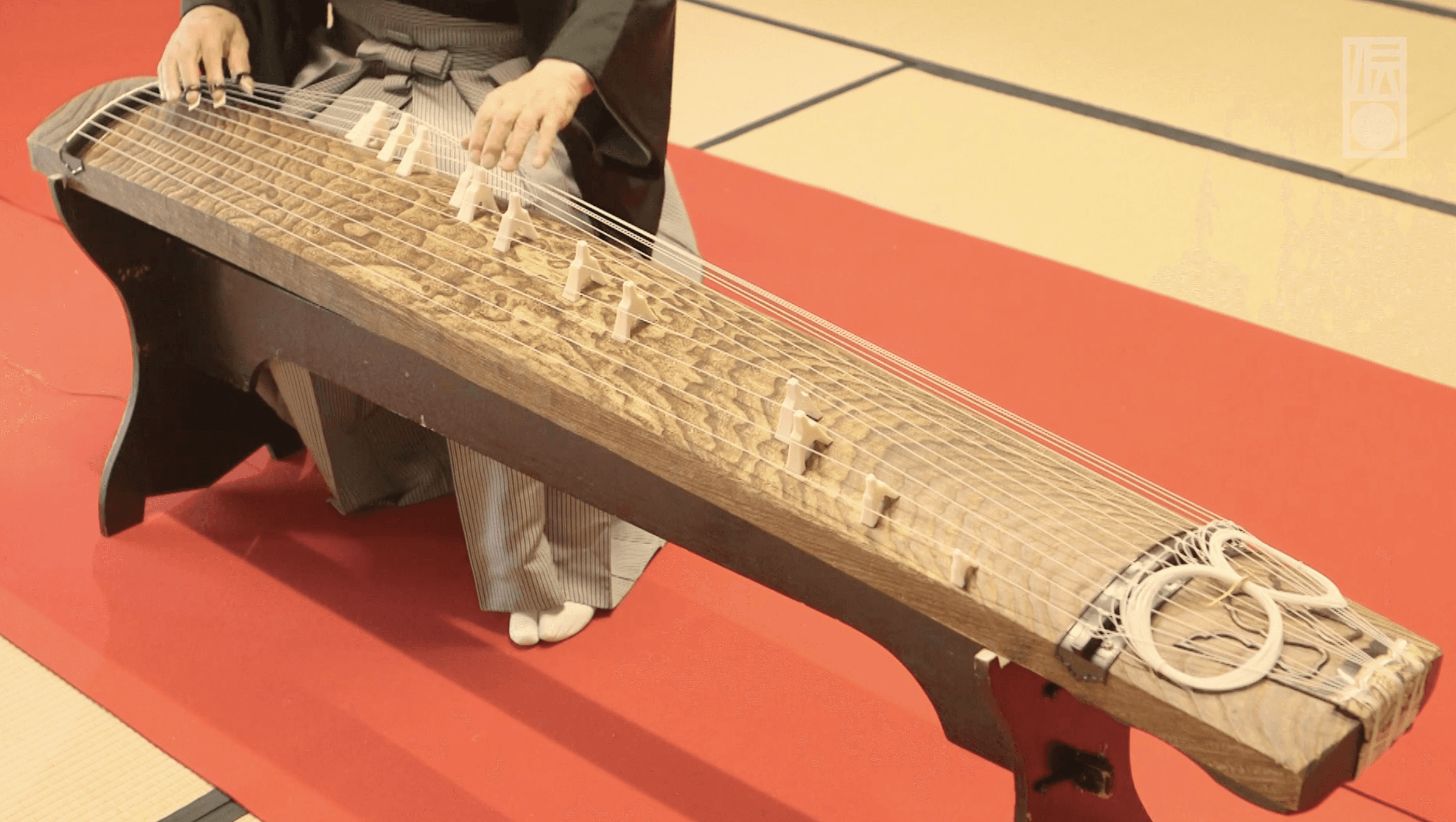japan, japanese instrument, koto