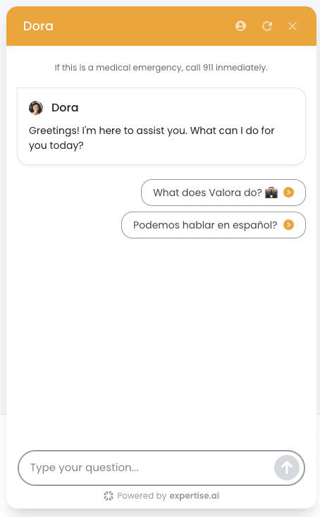 Dora Chatbot