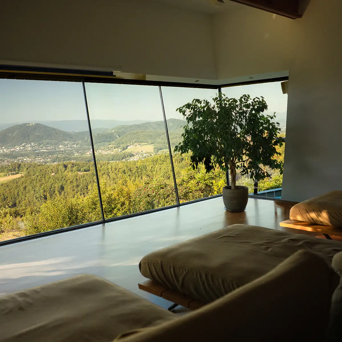 Wohnraum mit umlaufender Panoramaverglasung, Zimmerbaum im Topf und hellen Polstermöbeln