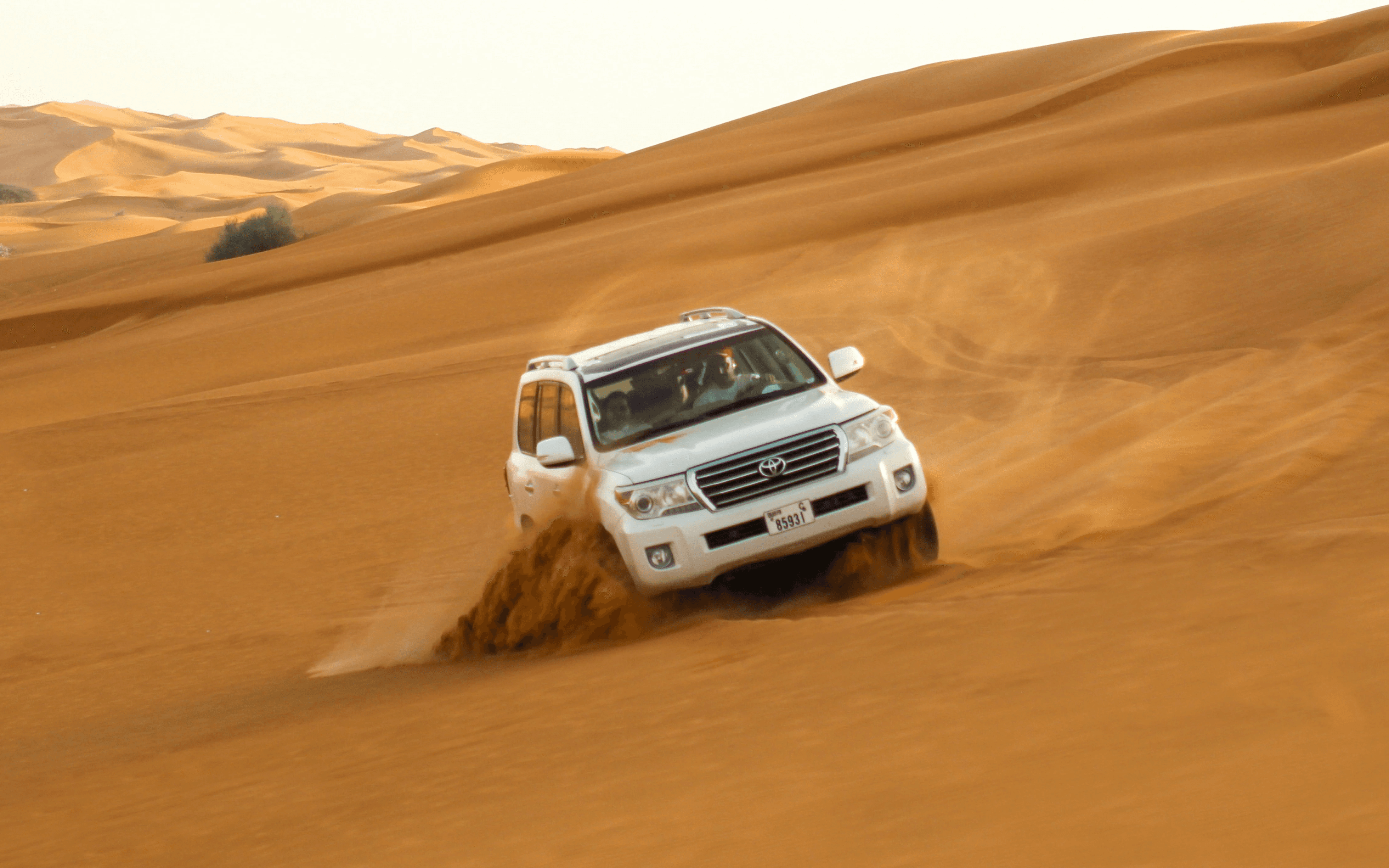 white suv on brown sand