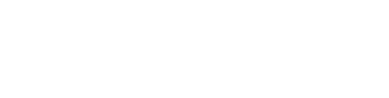 Tameo Logo
