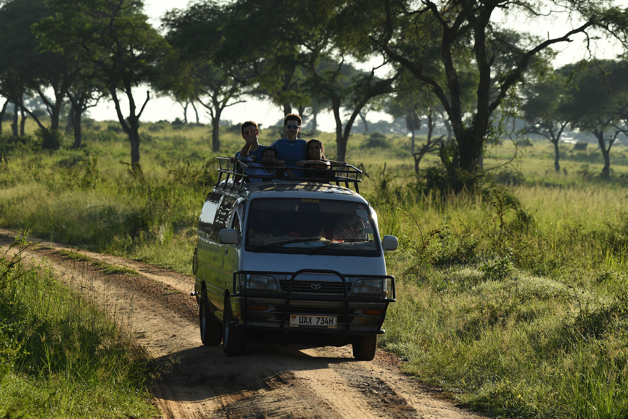 Game drives in Murchison falls national park