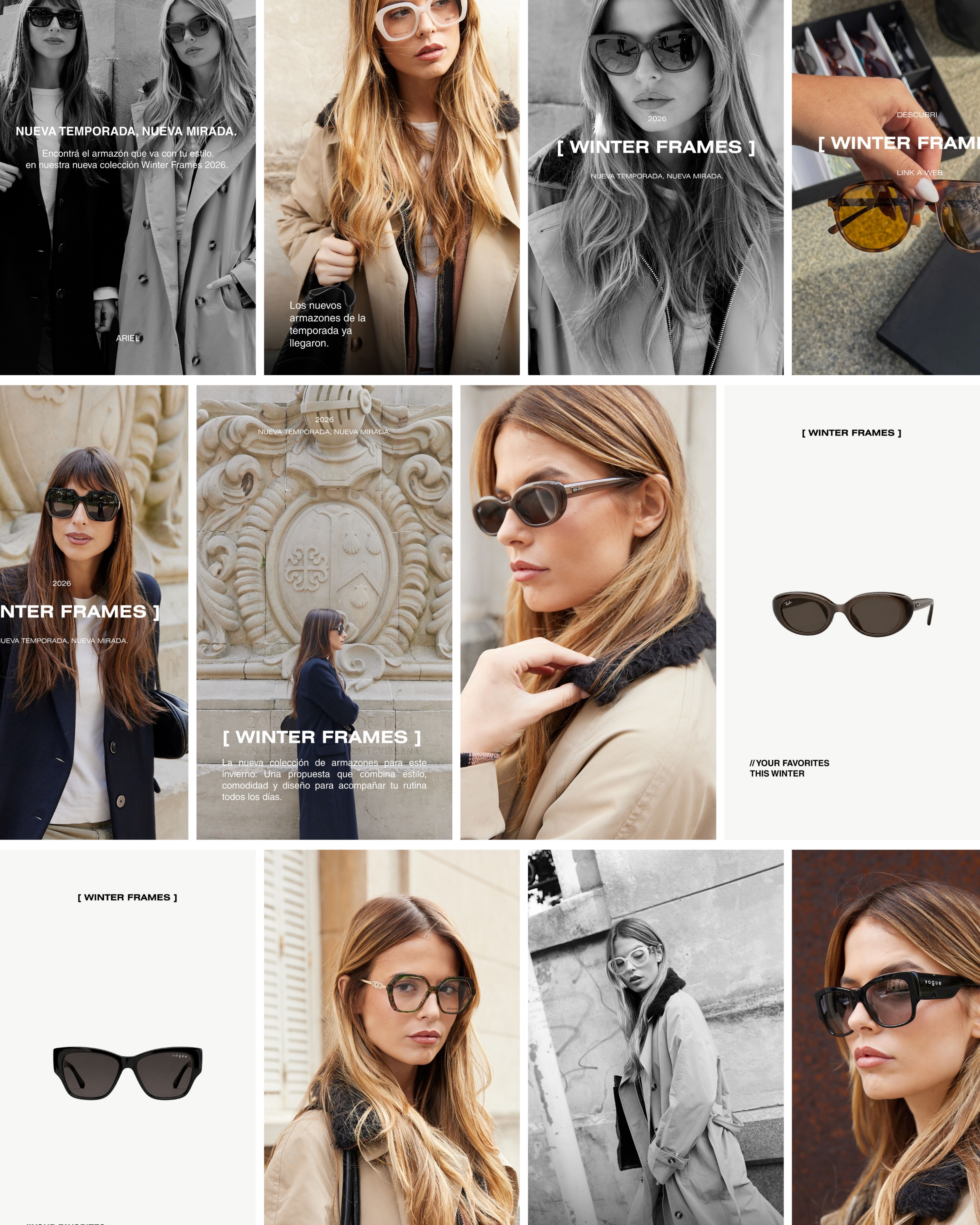 Olive preview