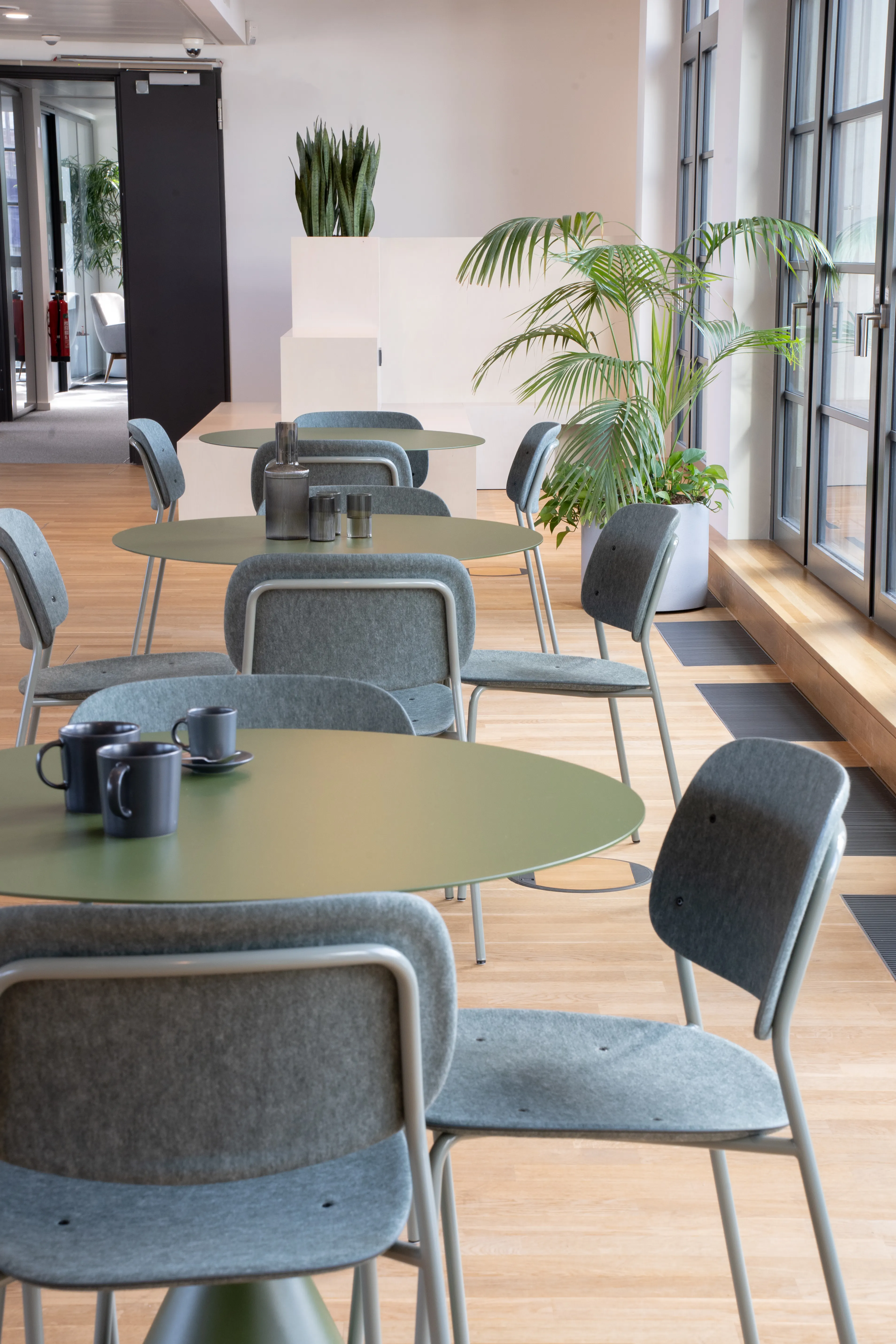 Dining area at AI START-UP MUNICH with olive-green round tables, sage-green felt chairs, dark mugs on the tables, a palm in a white planter and black window frames.