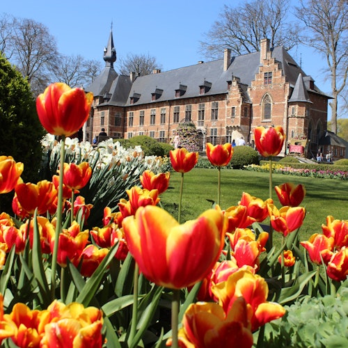 布鲁塞尔弗洛拉利亚的主城堡